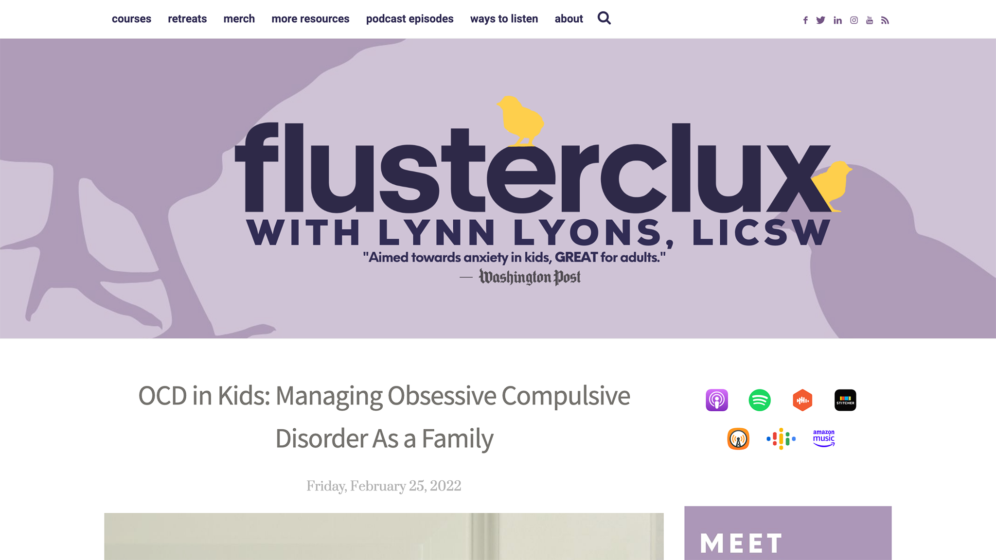 Screen Capture of Flusterclux Season 4, episode 27 summary page